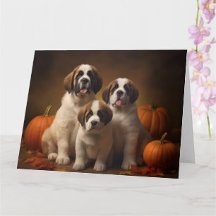 Saint Bernard Puppy Autumn Delight Pumpkin Card