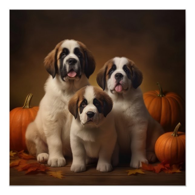 Saint Bernard Puppy Autumn Delight Pumpkin Poster (Front)