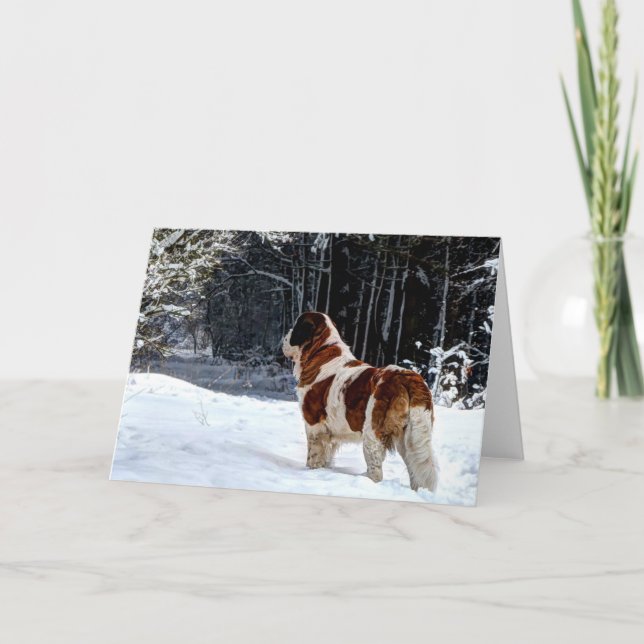 Saint Bernard snow photographic Christmas greeting Holiday Card (Front)