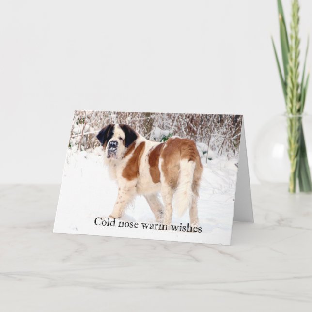 Saint Bernard snow photographic Christmas greeting Holiday Card (Front)