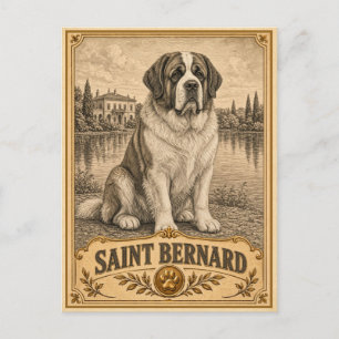Saint Bernard, Vintage Heritage Dog Postcard