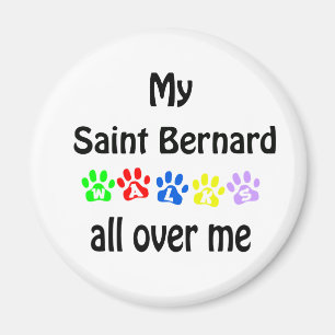 Saint Bernard Walks Design Magnet