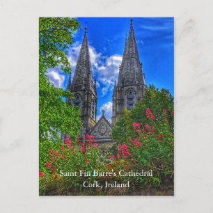 Saint Fin Barre's Cathedral Cork, Ireland Postcard