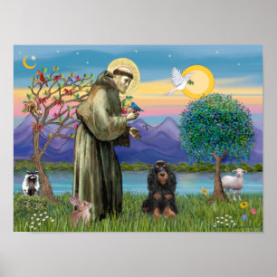 Saint Francis & Black-Tan Cocker Spaniel Poster
