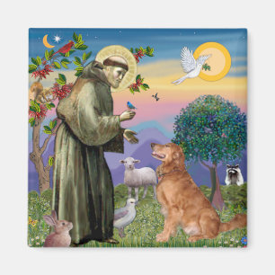 Saint Francis - Golden Retriever (#1) Magnet