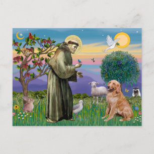 Saint Francis - Golden Retriever (#1) Postcard