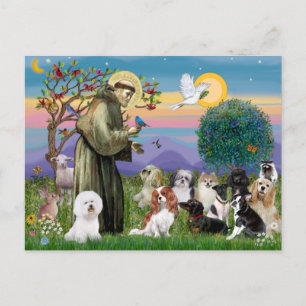 Saint Francis with 10 Dogs Postcard