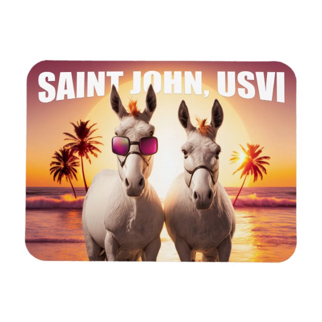 Saint John USVI Donkeys on the Beach Funny Unique Magnet (Horizontal)