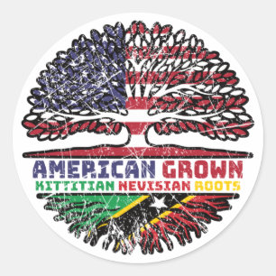 Saint Kitts Nevis Kittitian Nevisian American USA Classic Round Sticker