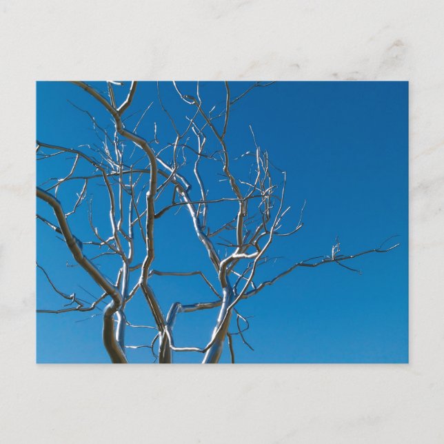 Saint Louis Art Museum Sculpture Postcard (Front)