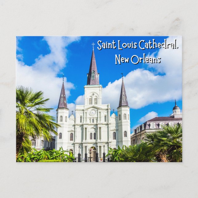 Saint Louis Cathedral in New Orleans Louisiana Postcard (Front)