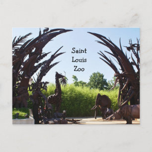Saint Louis Zoo Postcard