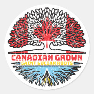 Saint Lucia Saint Lucian Canadian Canada Tree Classic Round Sticker