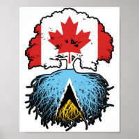 Saint Lucia Saint Lucian Canadian Canada Tree Root