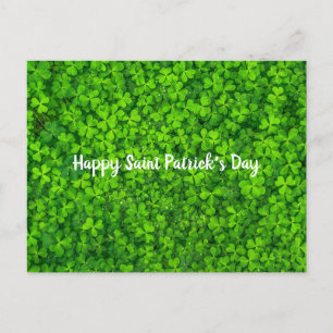 Saint Patrick's Day Irish Green Shamrock Postcard