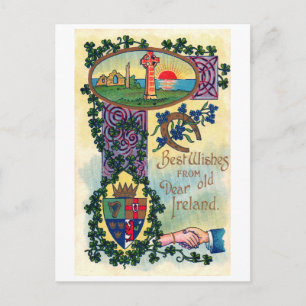 Saint Patrick's Day, Shamrock Postcard