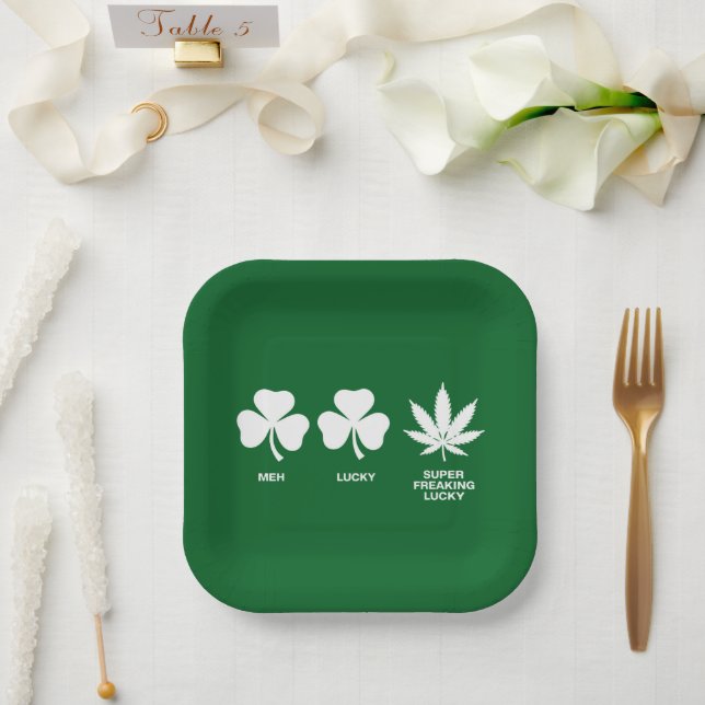 Saint Patricks Funny Party for Guys  Paper Plate (Wedding)