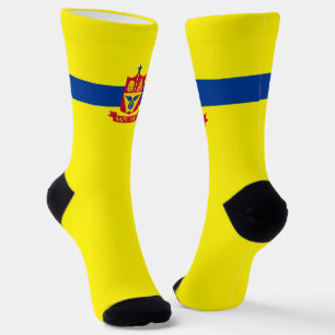 Saint Paul (Minnesota) city flag Socks