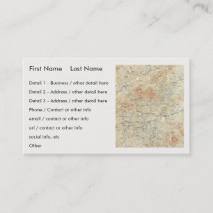 Saint Regis Canoe Area Details in the Adirondacks Business Card