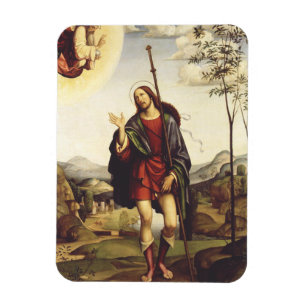 Saint Roch by Francesco Francia Magnet