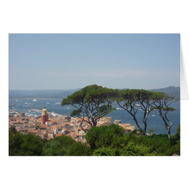 saint tropez trees harbour (Front Horizontal)