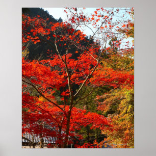 Saitama Prefecture, Japan Poster