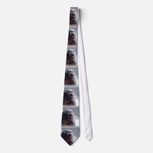 Saki Monkey Face Tie