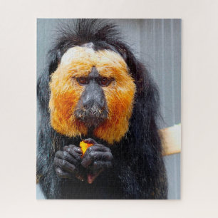 Saki Monkeys. Jigsaw Puzzle