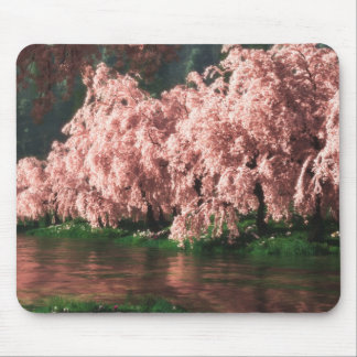 Sakura (2013) mouse mat