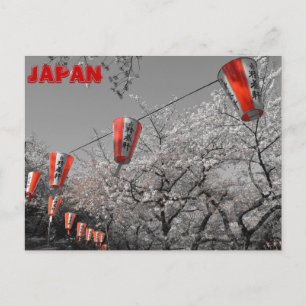 Sakura 2014 Postcard