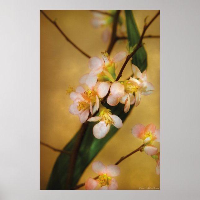 Sakura - A touch of spring Poster (Front)