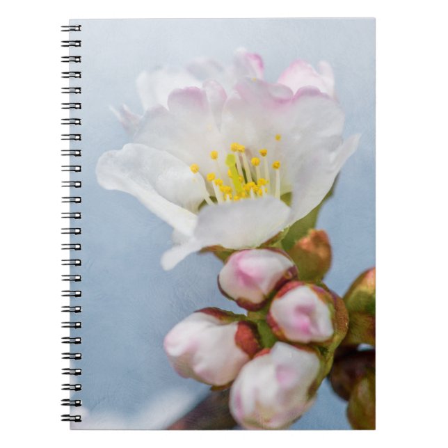 Sakura Blossom Notebook (Front)