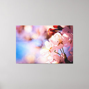 Sakura Blossoms On A Sunny Day Canvas Print