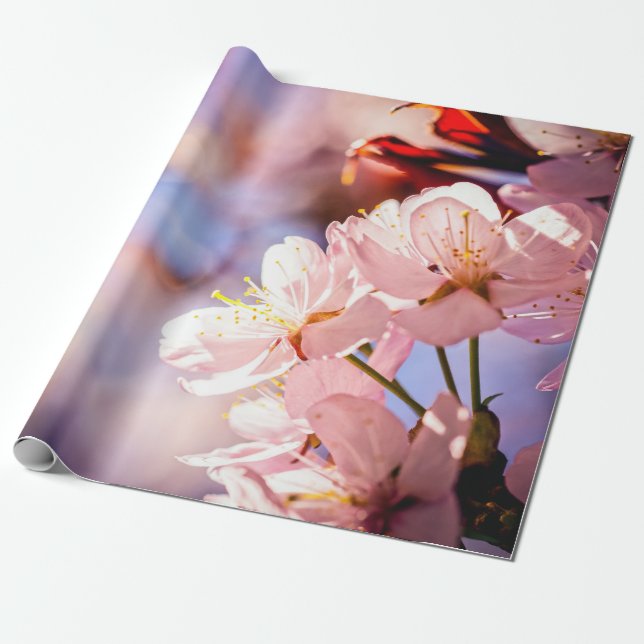 Sakura Blossoms On A Sunny Day Wrapping Paper (Unrolled)