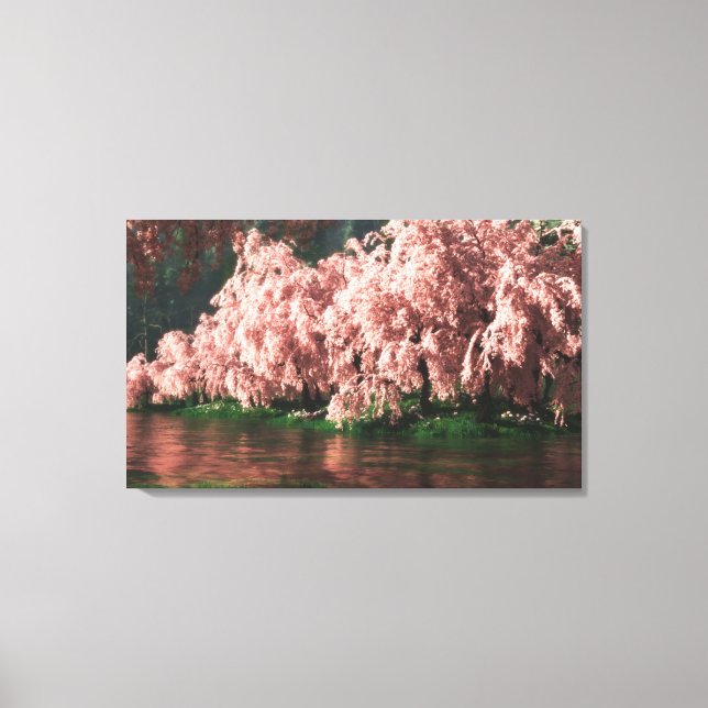 Sakura Canvas Print (Front)