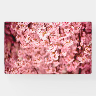 Sakura Cherry Blossom Banner