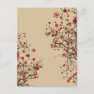 Sakura - Cherry Blossom Postcard