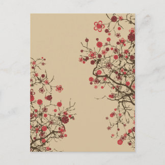 Sakura - Cherry Blossom Postcard