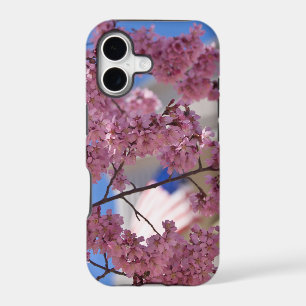 Sakura Cherry Blossoms Americana