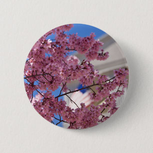 Sakura Cherry Blossoms Americana 6 Cm Round Badge