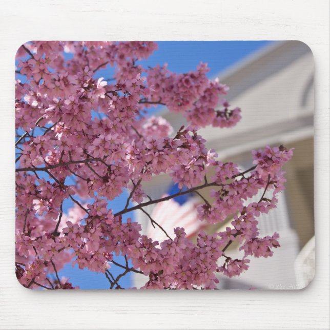 Sakura Cherry Blossoms Americana Mouse Mat (Front)
