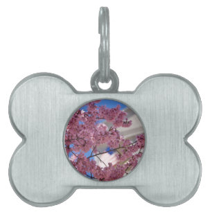 Sakura Cherry Blossoms Americana Pet ID Tag