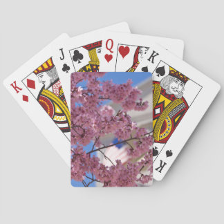 Sakura Cherry Blossoms Americana Playing Cards