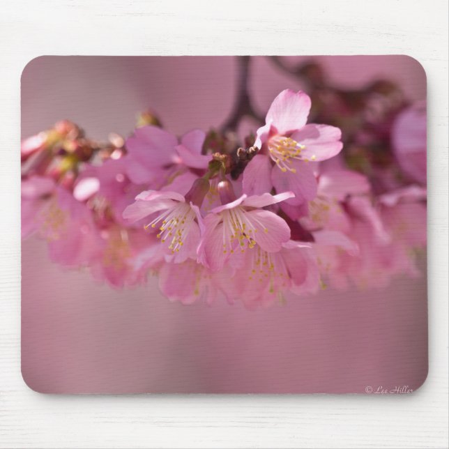 Sakura Cherry Blossoms Delicate Pink Bouquet Mouse Mat (Front)