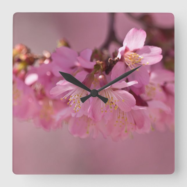 Sakura Cherry Blossoms Delicate Pink Bouquet Square Wall Clock (Front)