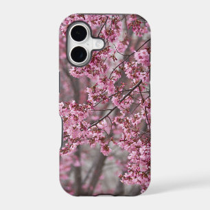 Sakura Cherry Blossoms Flowing Pink