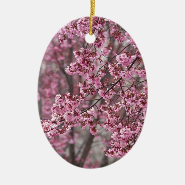 Sakura Cherry Blossoms Flowing Pink Ceramic Tree Decoration (Front)