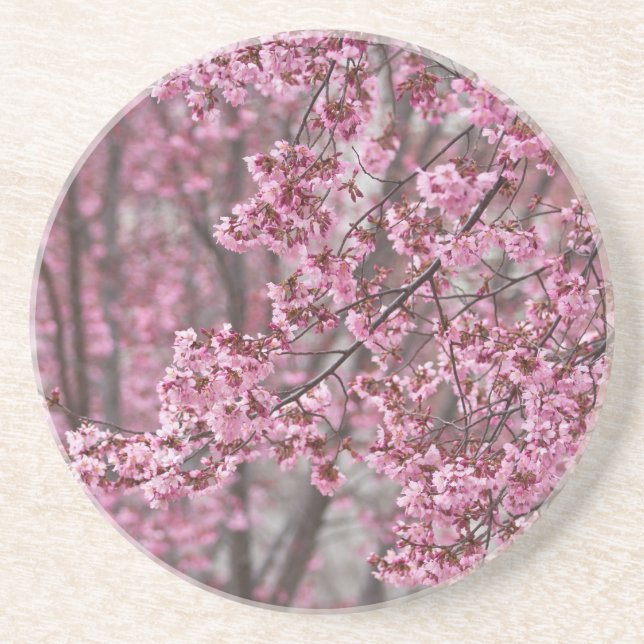 Sakura Cherry Blossoms Flowing Pink Coaster (Front)