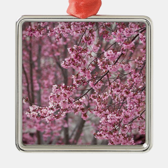 Sakura Cherry Blossoms Flowing Pink Metal Tree Decoration (Front)