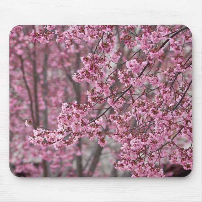 Sakura Cherry Blossoms Flowing Pink Mouse Mat (Front)